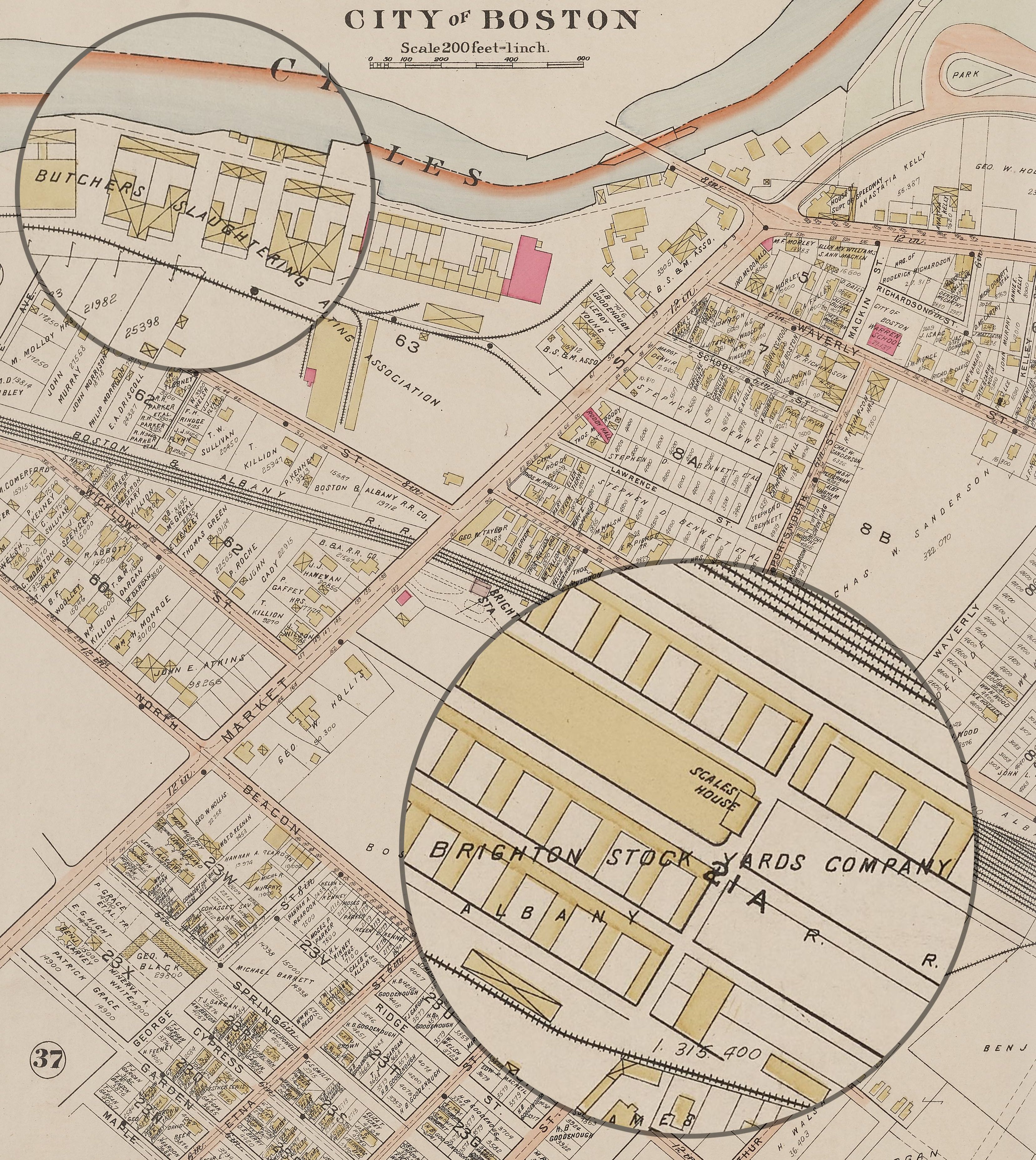 To the east of Market Street were the stockyards and to the west was the Abattoir, a site where cattle were processed and slaughtered.